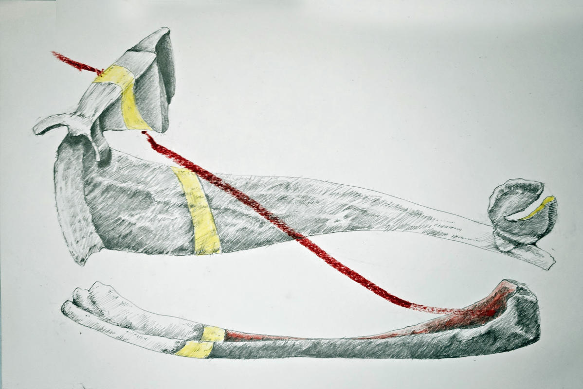 Redline VI - 11" x 17" - Mixed media on paper. 2024 
A4P