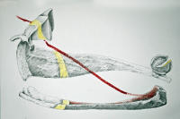 © Roger Halligan 2025