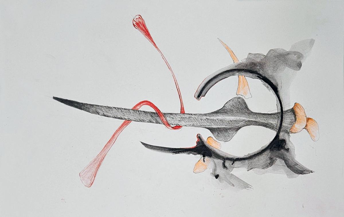 Redline XIV - 11" x 17" Mixed media 2024 a4P