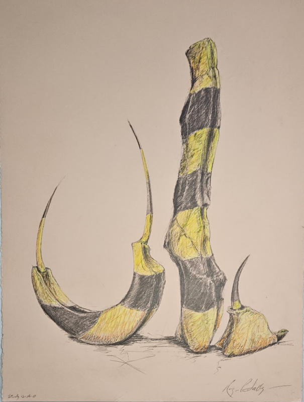 "Study 12.16.13. Graphite and Prismacolor on colored paper. 30" x 23.5'. 2013 Private collection, Richmond, VT