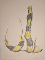 © Roger Halligan 2025